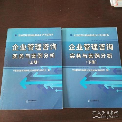 企业管理咨询实务与案例分析